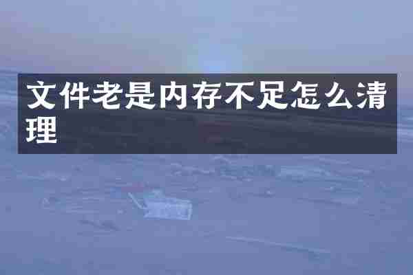 文件老是内存不足怎么清理