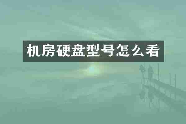 机房硬盘型号怎么看