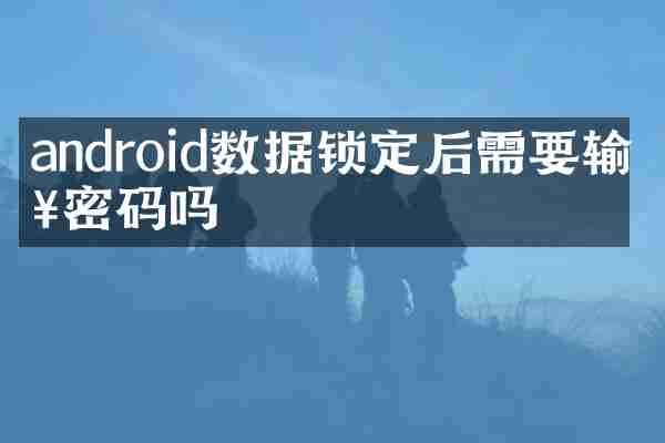 android数据锁定后需要输入密码吗