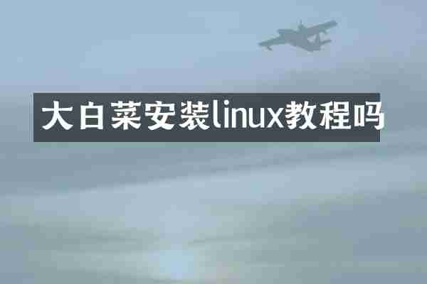 大白菜安装linux教程吗