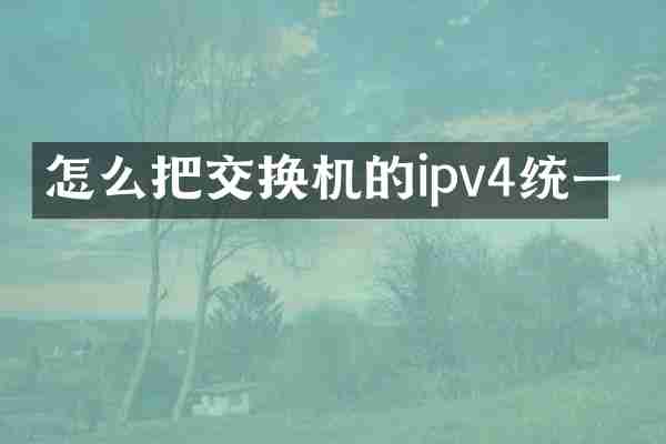 怎么把交换机的ipv4统一
