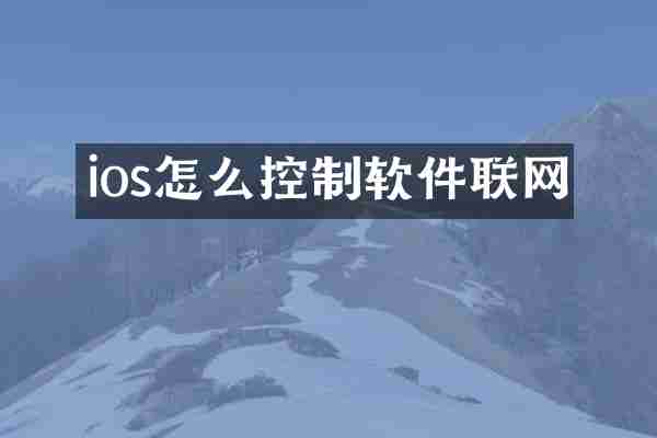 ios怎么控制软件联网