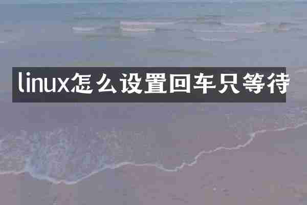 linux怎么设置回车只等待