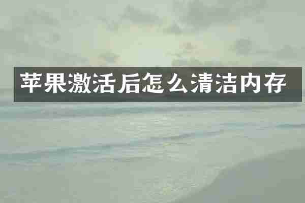 苹果激活后怎么清洁内存