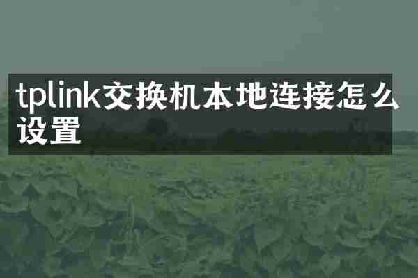 tplink交换机本地连接怎么设置