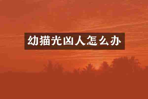 幼猫光凶人怎么办