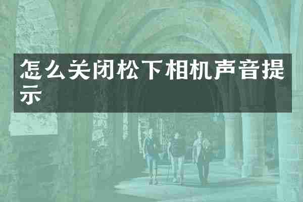 怎么关闭松下相机声音提示