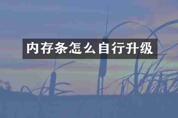 内存条怎么自行升级