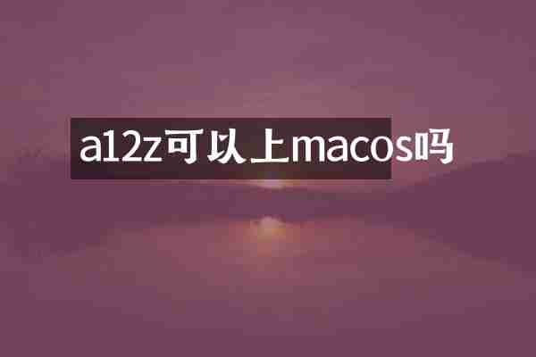 a12z可以上macos吗