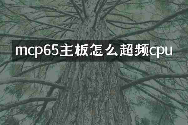mcp65主板怎么超频cpu