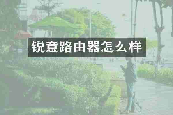 锐意路由器怎么样