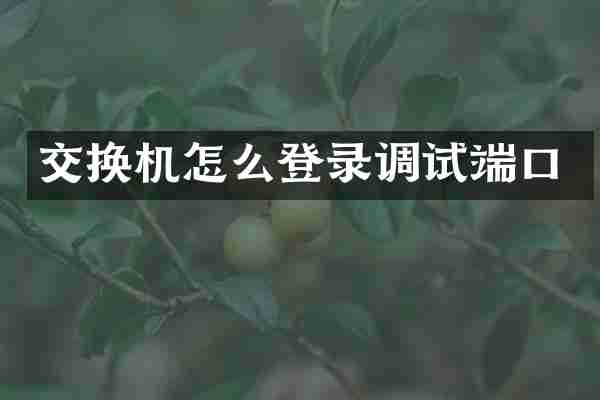 交换机怎么登录调试端口