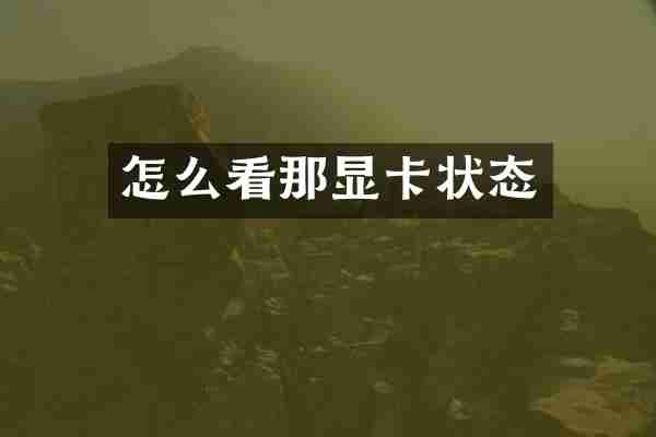 怎么看那显卡状态