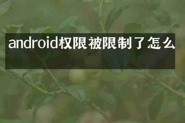 android权限被限制了怎么办