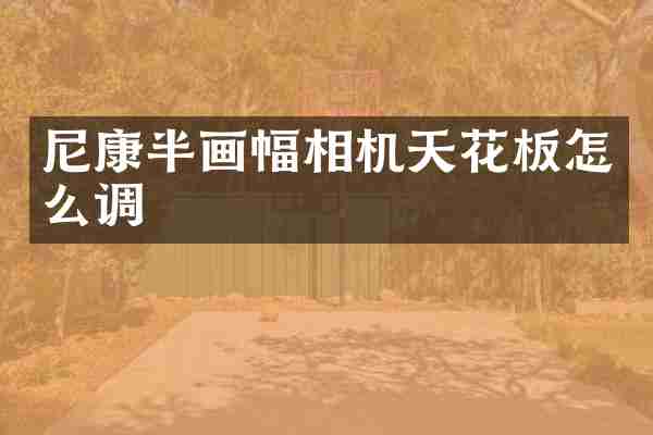 尼康半画幅相机天花板怎么调