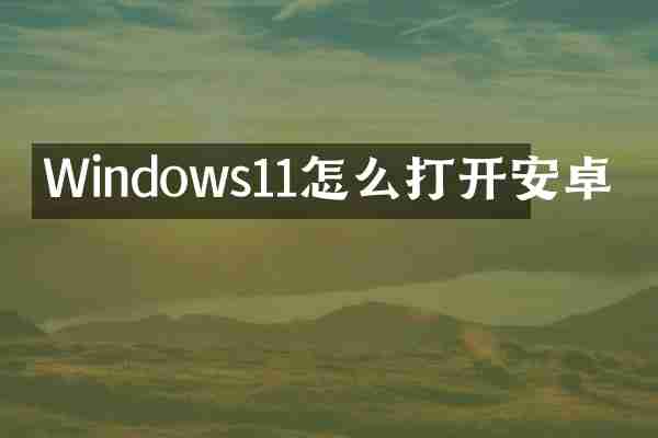 Windows11怎么打开安卓