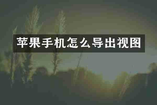 苹果手机怎么导出视图
