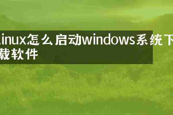 linux怎么启动windows系统下载软件