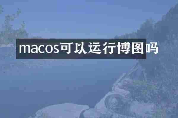 macos可以运行博图吗