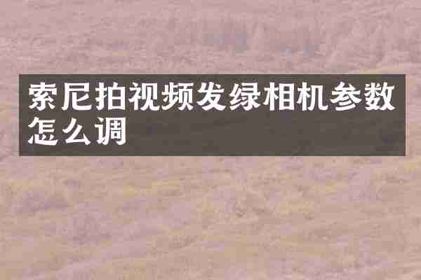 索尼拍视频发绿相机参数怎么调