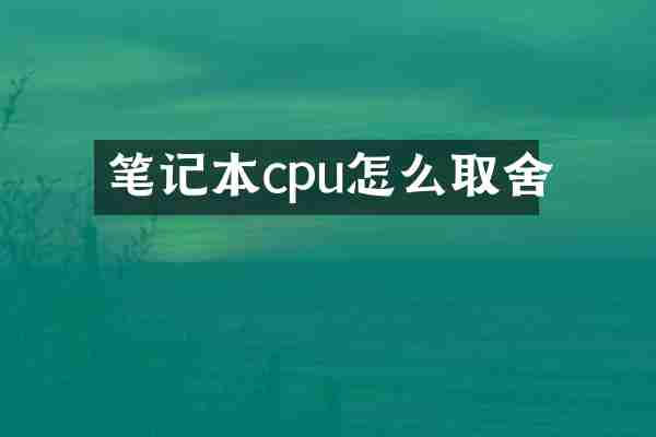 笔记本cpu怎么取舍