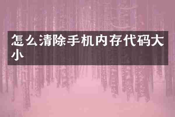 怎么清除手机内存代码大小
