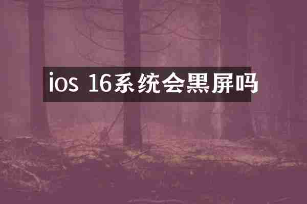 ios 16系统会黑屏吗