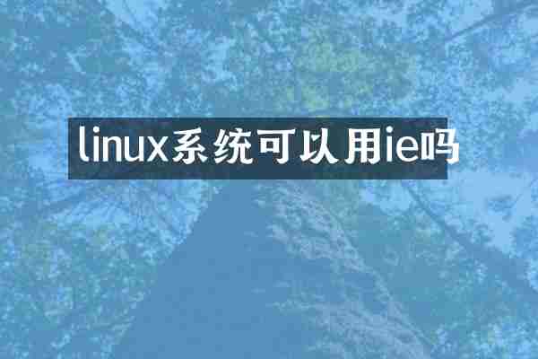 linux系统可以用ie吗