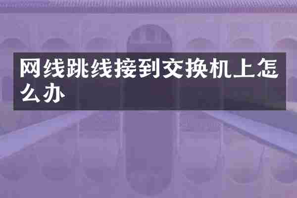 网线跳线接到交换机上怎么办