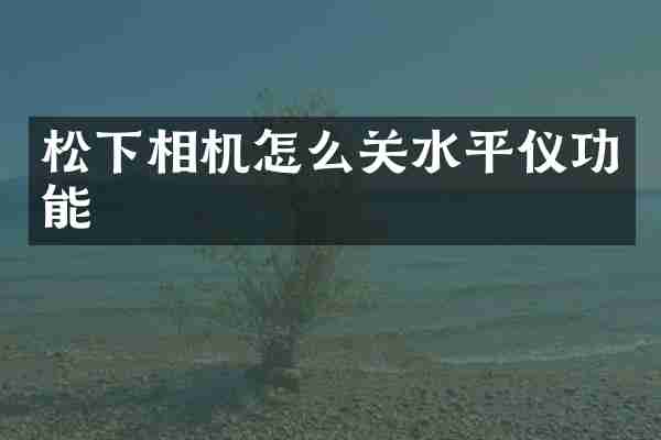 相机怎么关水平仪功能