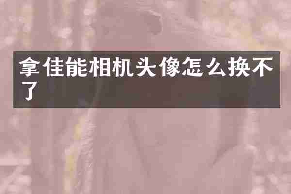 拿佳能相机头像怎么换不了