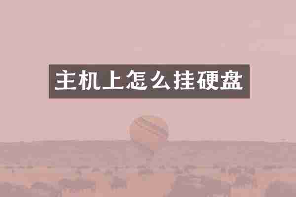 主机上怎么挂硬盘
