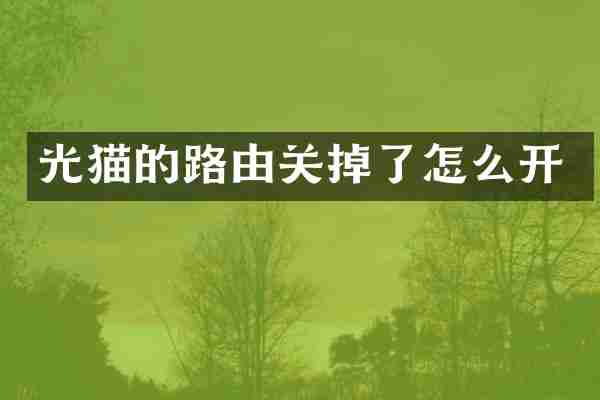 光猫的路由关掉了怎么开