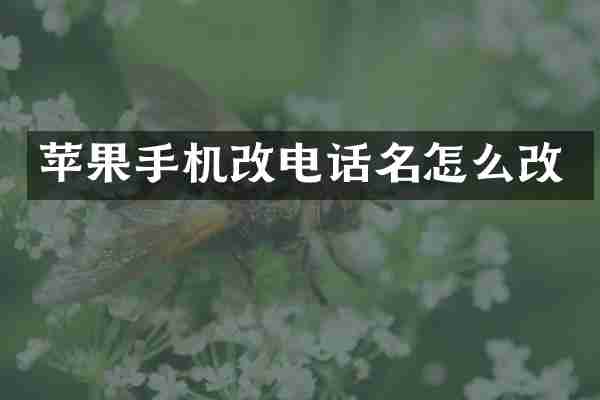 苹果手机改电话名怎么改