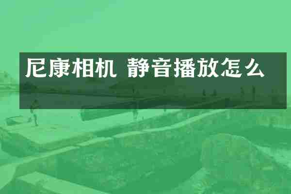 尼康相机 静音播放怎么关