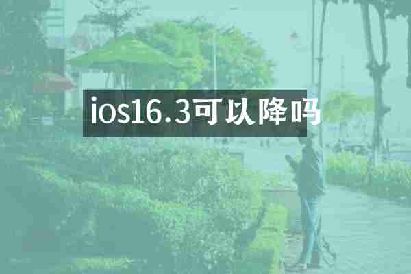 ios16.3可以降吗