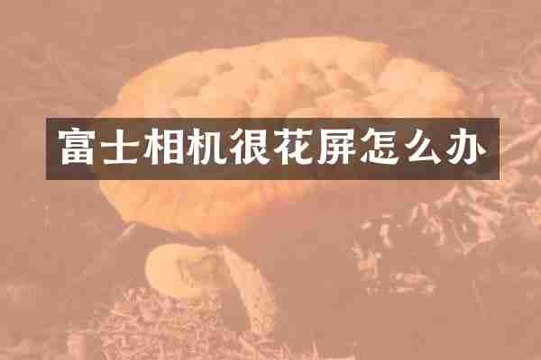 富士相机很花屏怎么办