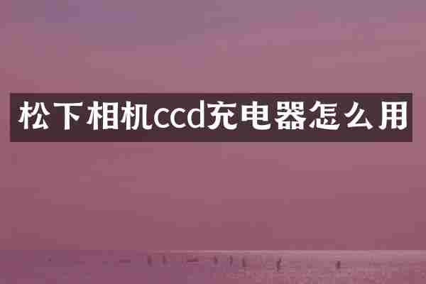松下相机ccd充电器怎么用