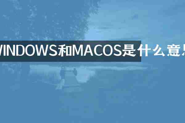 WINDOWS和MACOS是什么意思