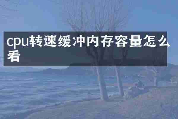 cpu转速缓冲内存容量怎么看