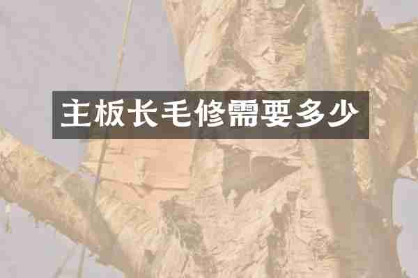 主板长毛修需要多少