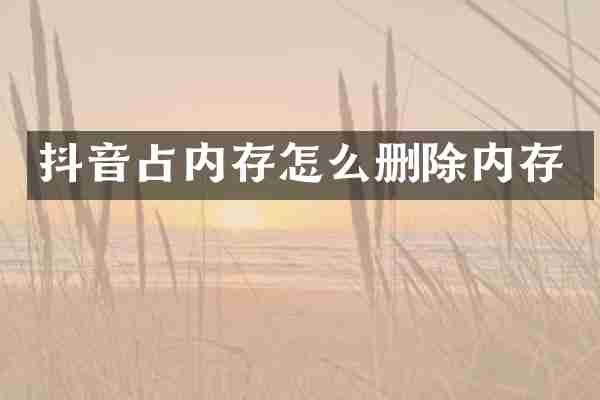 抖音占内存怎么删除内存