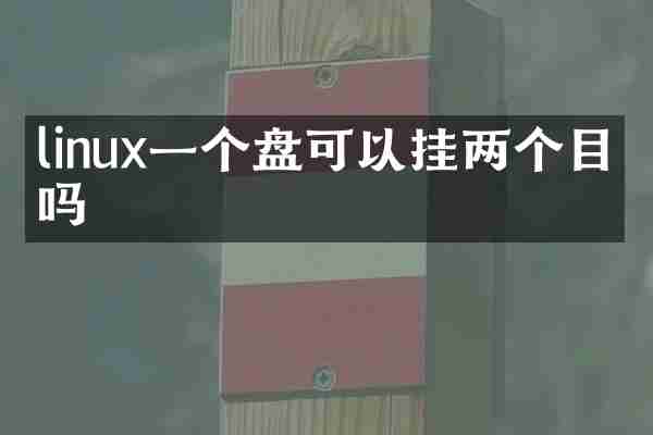linux一个盘可以挂两个目录吗