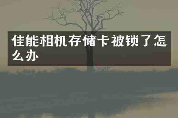 佳能相机存储卡被锁了怎么办