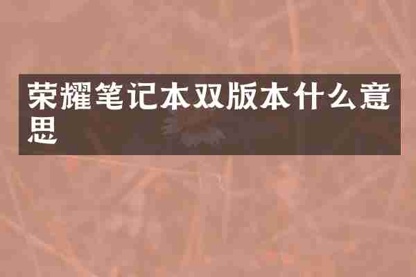 荣耀笔记本双版本什么意思
