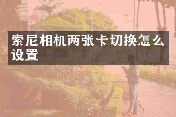 索尼相机两张卡切换怎么设置