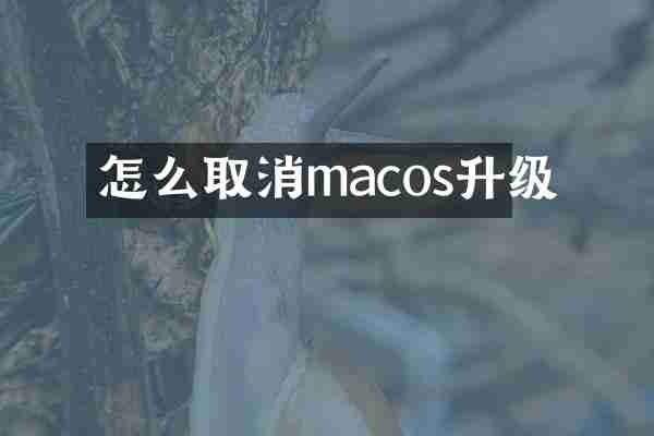 怎么取消macos升级