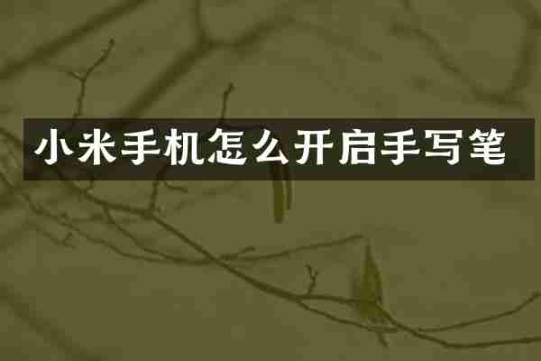 小米手机怎么开启手写笔