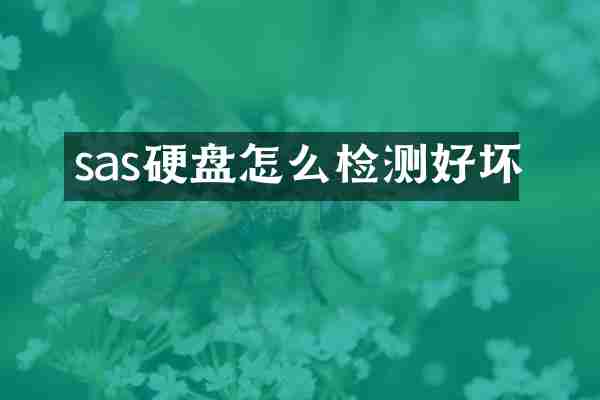 sas硬盘怎么检测好坏