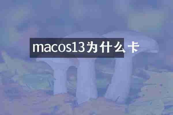 macos13为什么卡